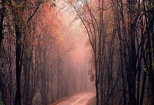 季后赛对阵或出炉，辽宁生死战救赎，广东或陷死亡之组，广厦捡漏.