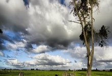 问鼎娱乐：欧冠：皇马点球大战淘汰马竞 8强将战阿森纳.