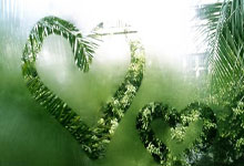 问鼎娱乐：记者：内马尔等一些重要球员支持蒂特重返巴西队执教.