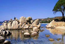 全红婵等名将领衔 国家队公益服务大行动走进华中师大中国新闻网.